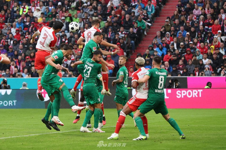 枚总冠军戒 枚总冠军戒